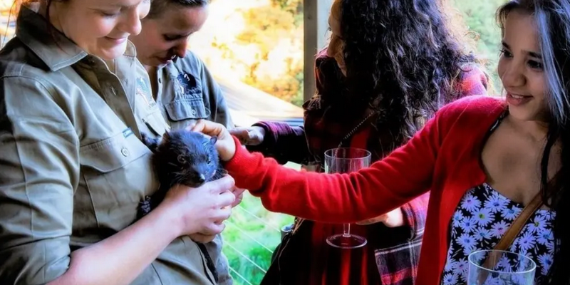 kidsbucketlist.com.au - Devils @ Cradle Sunset Experience - 2