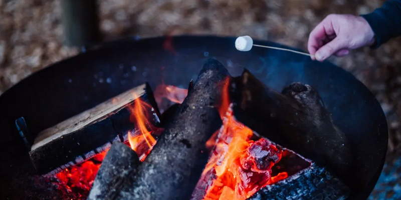 kidsbucketlist.com.au - Devils @ Cradle Sunset Experience - 5