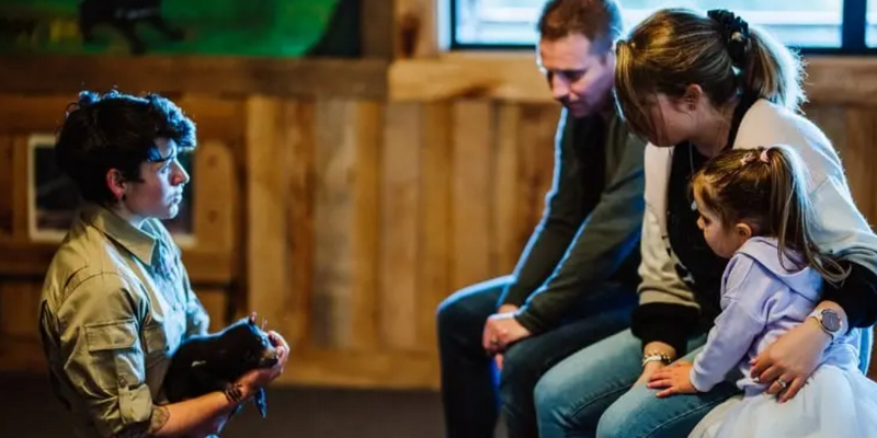 kidsbucketlist.com.au - Tasmanian Devil Joey Encounters - 2