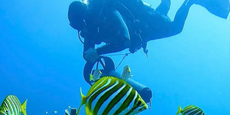 kidsbucketlist.com.au - Scuba Dive 4 Mile Reef - 3