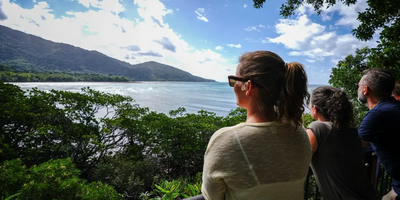 Full Day Total Daintree Experience