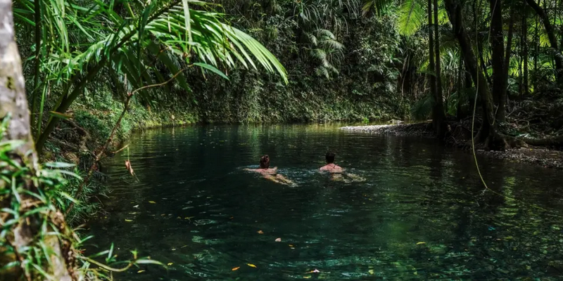 kidsbucketlist.com.au - Full Day Total Daintree Experience - 7
