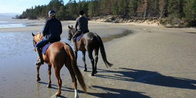 Horseriding on the Beach