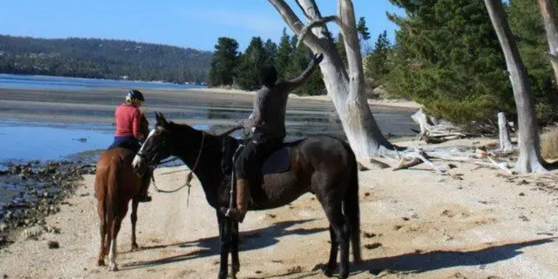 kidsbucketlist.com.au - Horseriding on the Beach - 2
