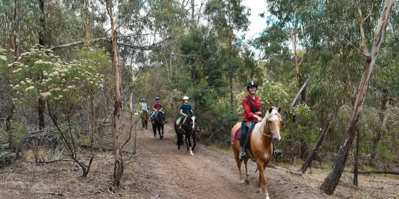 kidsbucketlist.com.au - Spring Creek Horse Trail Rides - 1
