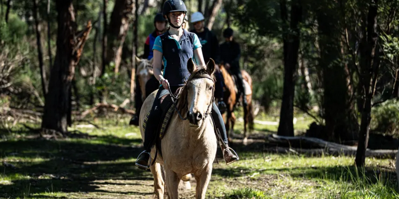 kidsbucketlist.com.au - Spring Creek Horse Trail Rides - 2