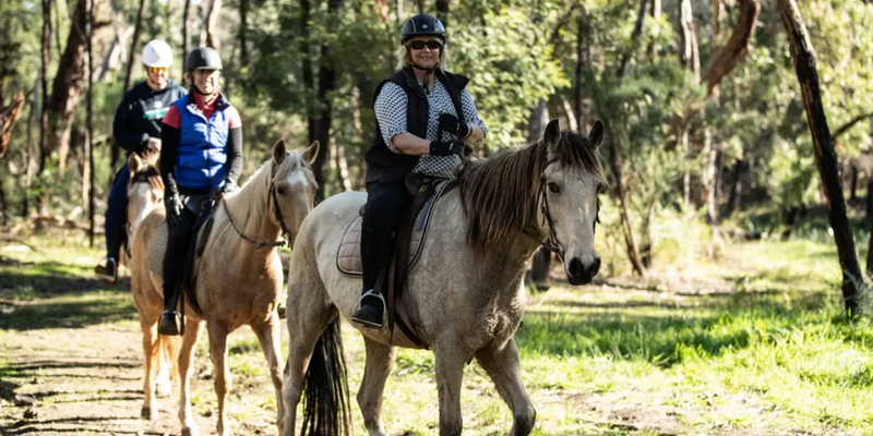kidsbucketlist.com.au - Spring Creek Horse Trail Rides - 3