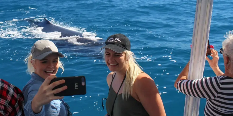 kidsbucketlist.com.au - Hervey Bay's Ultimate Whale Watch - 7