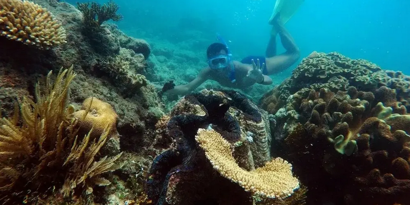 kidsbucketlist.com.au - Reef Daytripper Snorkel and Scuba Dive - 2