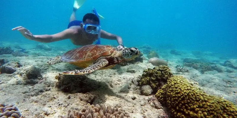 kidsbucketlist.com.au - Reef Daytripper Snorkel and Scuba Dive - 5