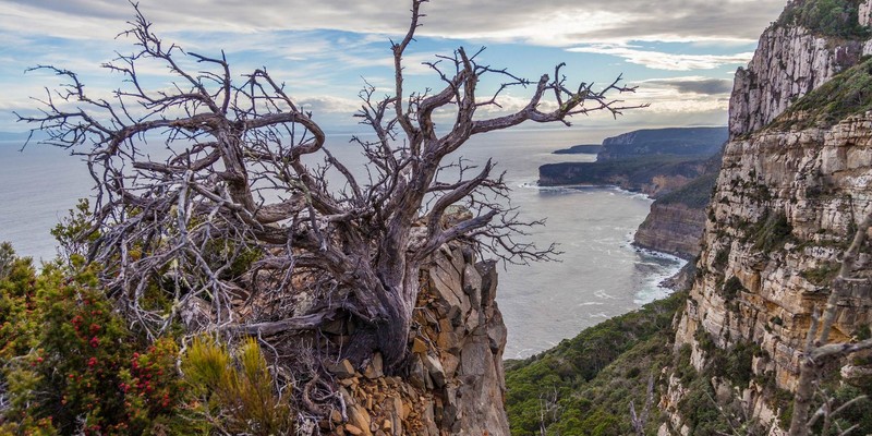 kidsbucketlist.com.au - Cape Raoul - 1