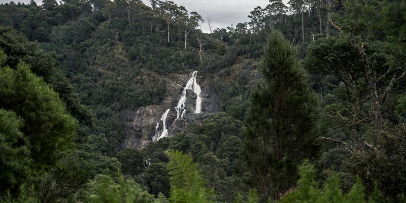 kidsbucketlist.com.au - St Columba Falls - 2