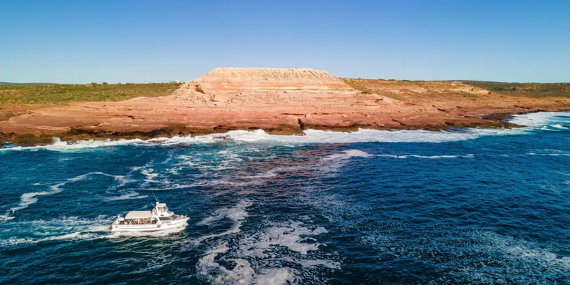 kidsbucketlist.com.au - Kalbarri Whale Watching Tour - 6