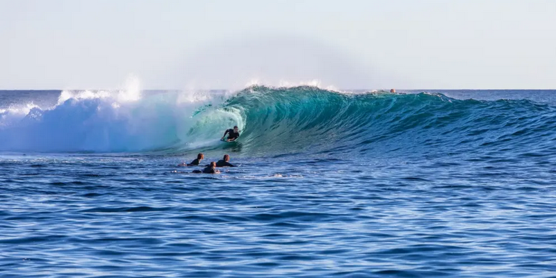 kidsbucketlist.com.au - Kalbarri Whale Watching Tour - 7