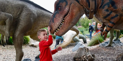 National Dinosaur Museum