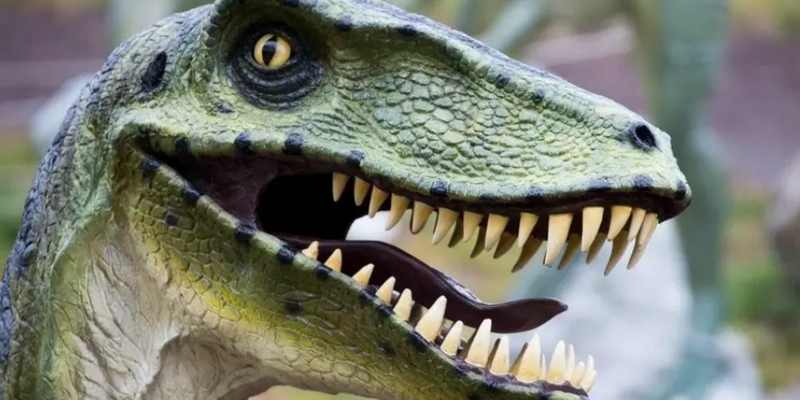 kidsbucketlist.com.au - National Dinosaur Museum - 2