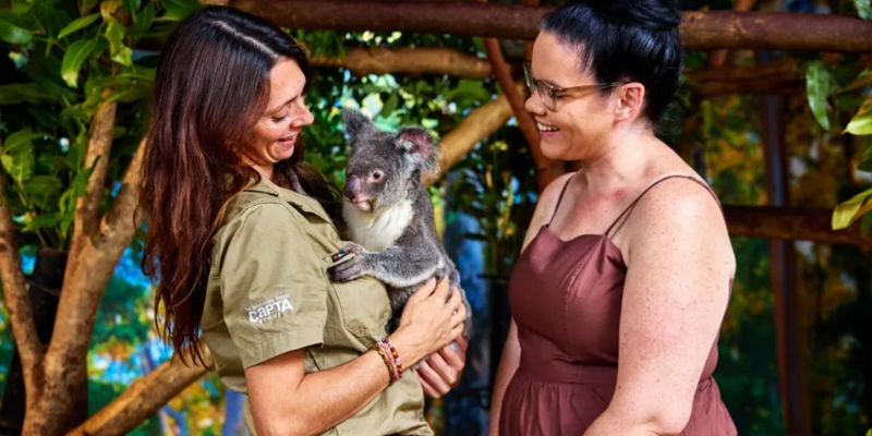 kidsbucketlist.com.au - Cuddle a Koala in Cairns - 5