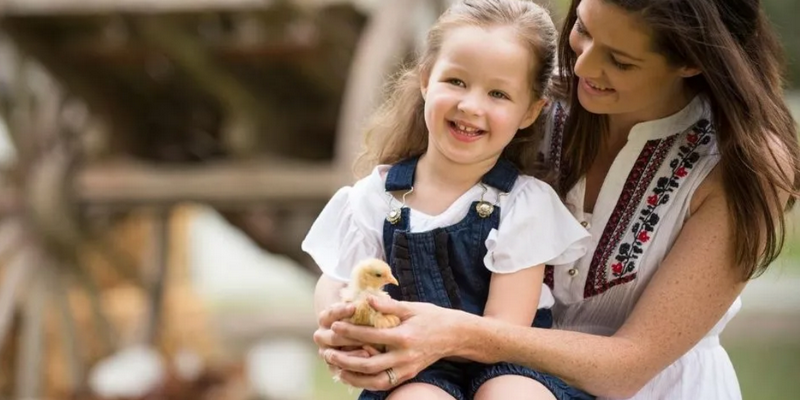 kidsbucketlist.com.au - Paradise Country Koala Breakfast including Koala Cuddle - 4