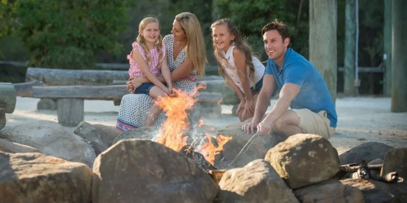 kidsbucketlist.com.au - Paradise Country Koala Breakfast including Koala Cuddle - 6