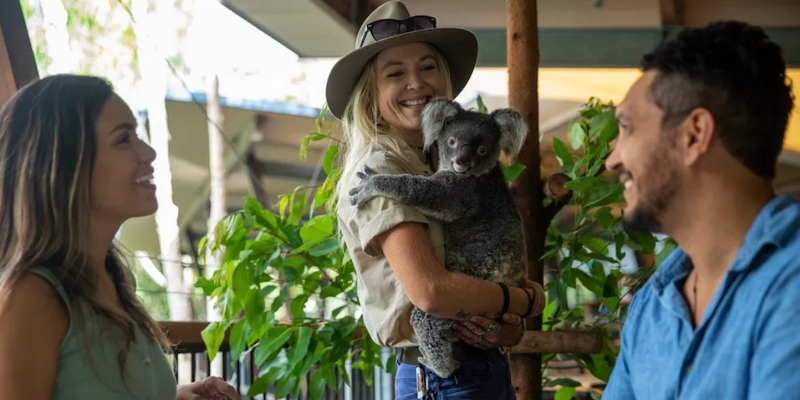 kidsbucketlist.com.au - Breakfast with Koalas at Hartley's Crocodile Adventures - 1