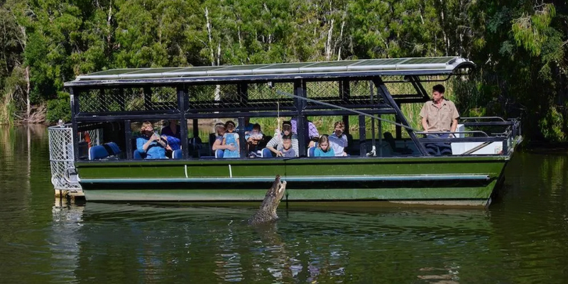 kidsbucketlist.com.au - Breakfast with Koalas at Hartley's Crocodile Adventures - 3