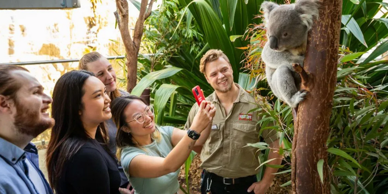 kidsbucketlist.com.au - Breakfast and Cuddle with the Koalas in Sydney - 1
