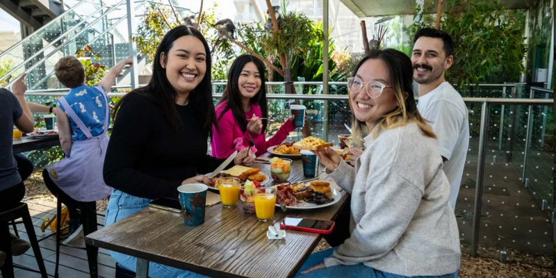 kidsbucketlist.com.au - Breakfast and Cuddle with the Koalas in Sydney - 5