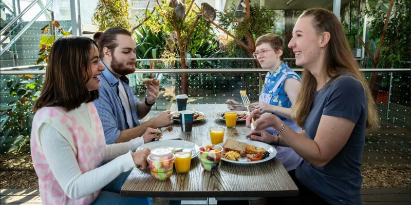 kidsbucketlist.com.au - Breakfast and Cuddle with the Koalas in Sydney - 8