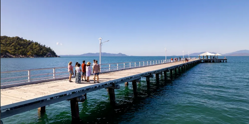 kidsbucketlist.com.au - Magnetic Island ‘Izzy's Koala’ Tour - Half Day - 4
