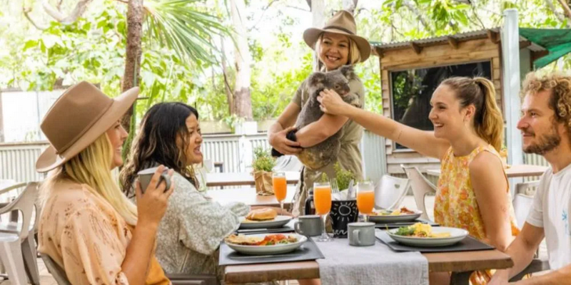 kidsbucketlist.com.au - Magnetic Island Meet and Greet Breakfast with Koalas - 1