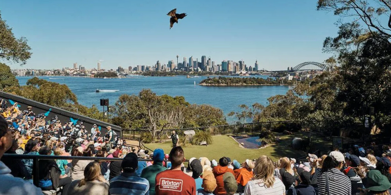 kidsbucketlist.com.au - Taronga Zoo Sydney - 2