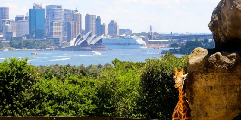 kidsbucketlist.com.au - Taronga Zoo Sydney - 6