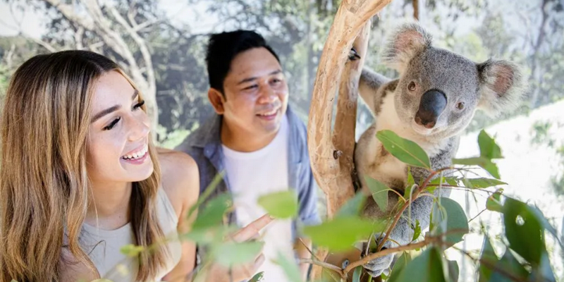 kidsbucketlist.com.au - Sydney Zoo - 3