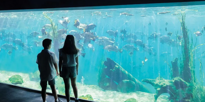 kidsbucketlist.com.au - Sydney Zoo - 6