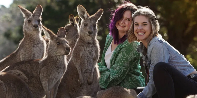 kidsbucketlist.com.au - Symbio Wildlife Park - 4