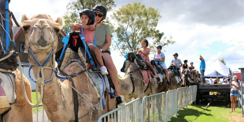 kidsbucketlist.com.au - Summer Land Camel Trail Ride - 1