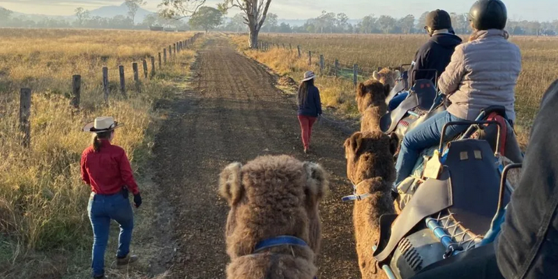 kidsbucketlist.com.au - Summer Land Camel Trail Ride - 4