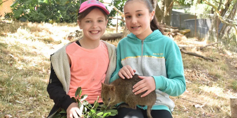 kidsbucketlist.com.au - Gorge Wildlife Park  - 3