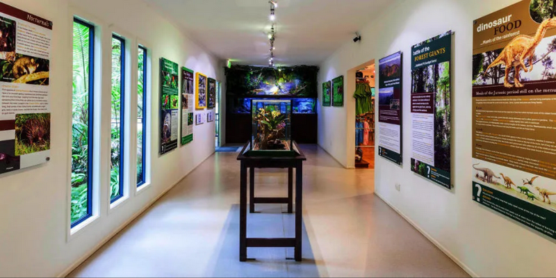 kidsbucketlist.com.au - Tamborine Rainforest Skywalk - 2