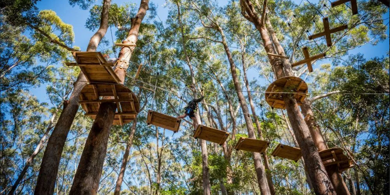 kidsbucketlist.com.au - Coffs Harbour Treetop Adventure - 1