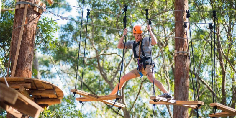kidsbucketlist.com.au - Coffs Harbour Treetop Adventure - 2