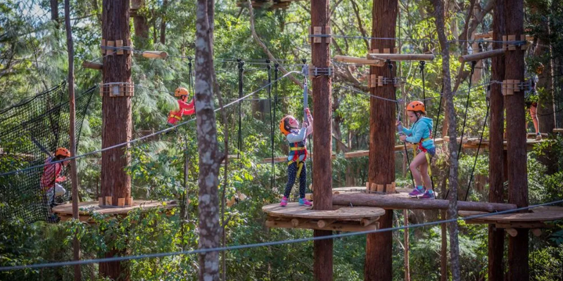 kidsbucketlist.com.au - Coffs Harbour Treetop Adventure - 4