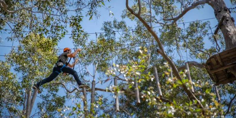 kidsbucketlist.com.au - Treetops Adventure Canberra - 5