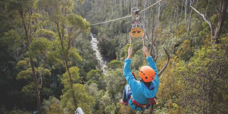 kidsbucketlist.com.au - Treetops Adventure Zipline Tour - 1
