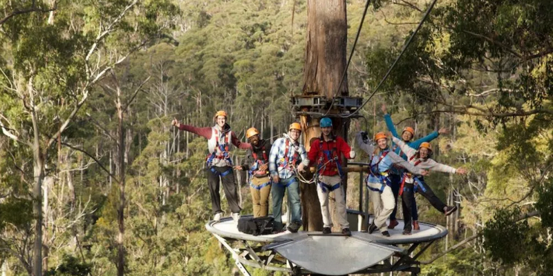 kidsbucketlist.com.au - Treetops Adventure Zipline Tour - 3