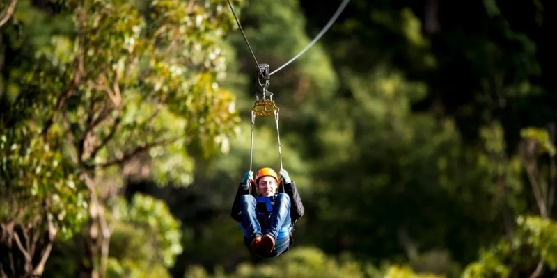 kidsbucketlist.com.au - Treetops Adventure Zipline Tour - 4