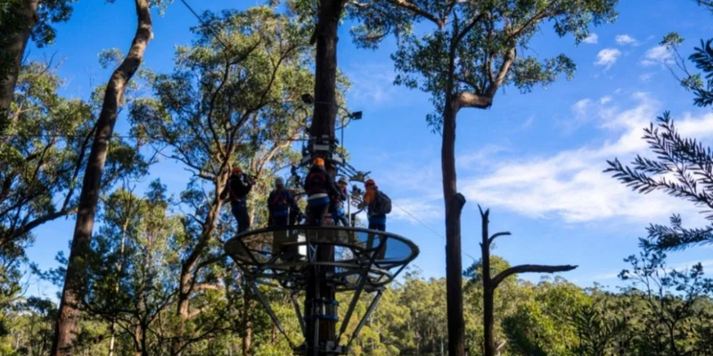 kidsbucketlist.com.au - Treetops Adventure Zipline Tour - 5