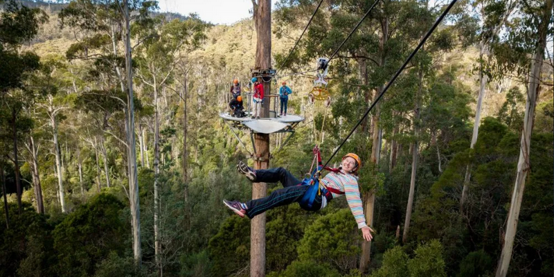 kidsbucketlist.com.au - Treetops Adventure Zipline Tour - 6