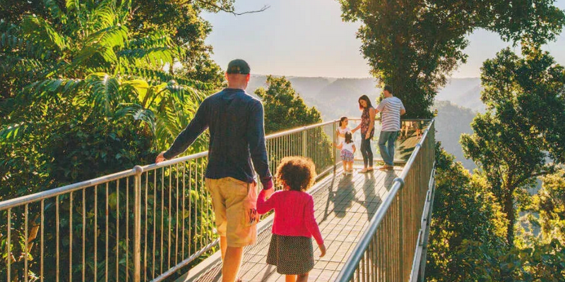 kidsbucketlist.com.au - Mamu Tropical Skywalk  - 1