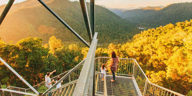 kidsbucketlist.com.au - Mamu Tropical Skywalk  - 2